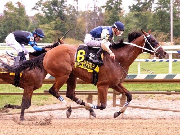 Irish Maxima winning the Weather Vane S. at Laurel Park - Laurel photo