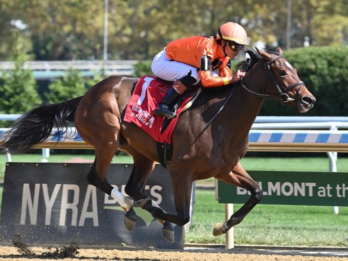 With the Angels sails to victory in the 2024 Joseph A. Gimma S. - NYRA photo