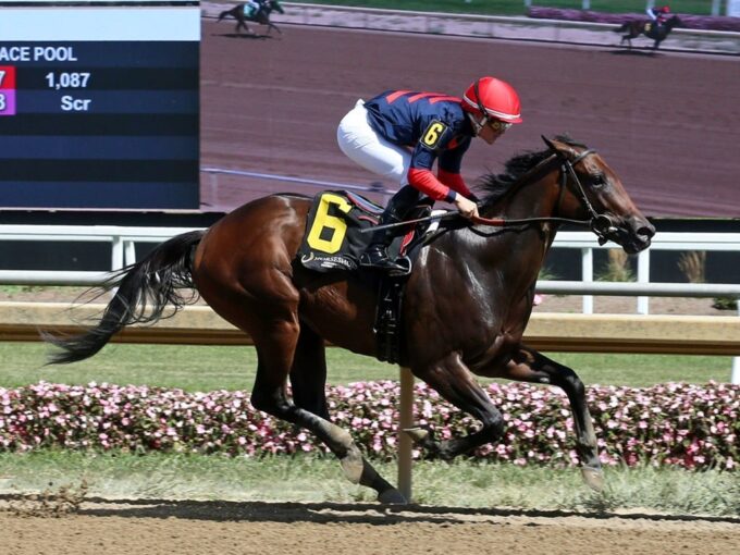 Praying cruising to victory at Horseshoe Indianapolis - Coady photography