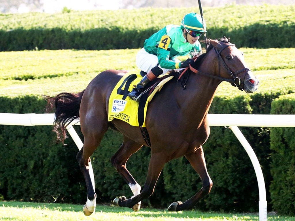 Gina Romantica winning the First Lady S. (G1) for the second year in a row - Coady Media