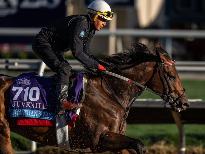 Jonathan's Way training at Del Mar for the Breeders' Cup Juvenile - Nicole Finch photo