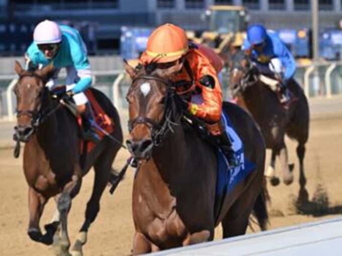 With the Angels leads the way in the Maid of the Mist S. at Aqueduct - Chelsea Durand/NYRA