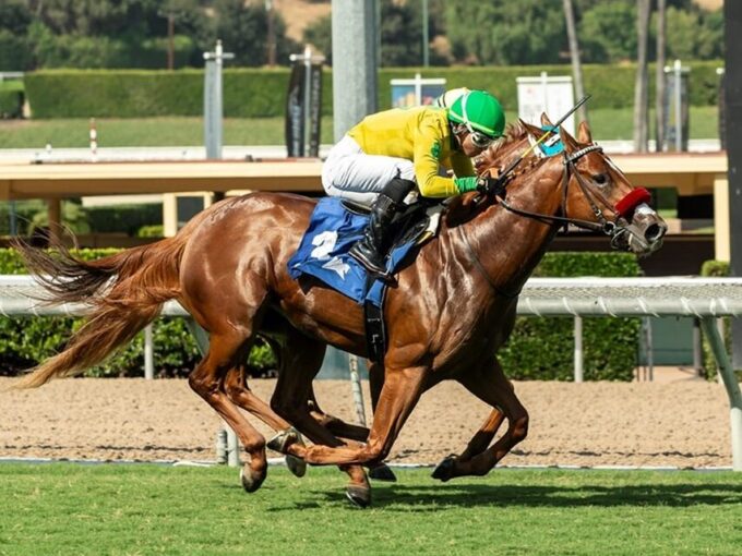 Second-crop 2yo colt Pali Kitten wins the 2024 Speakeasy S. at Santa Anita | Benoit photo