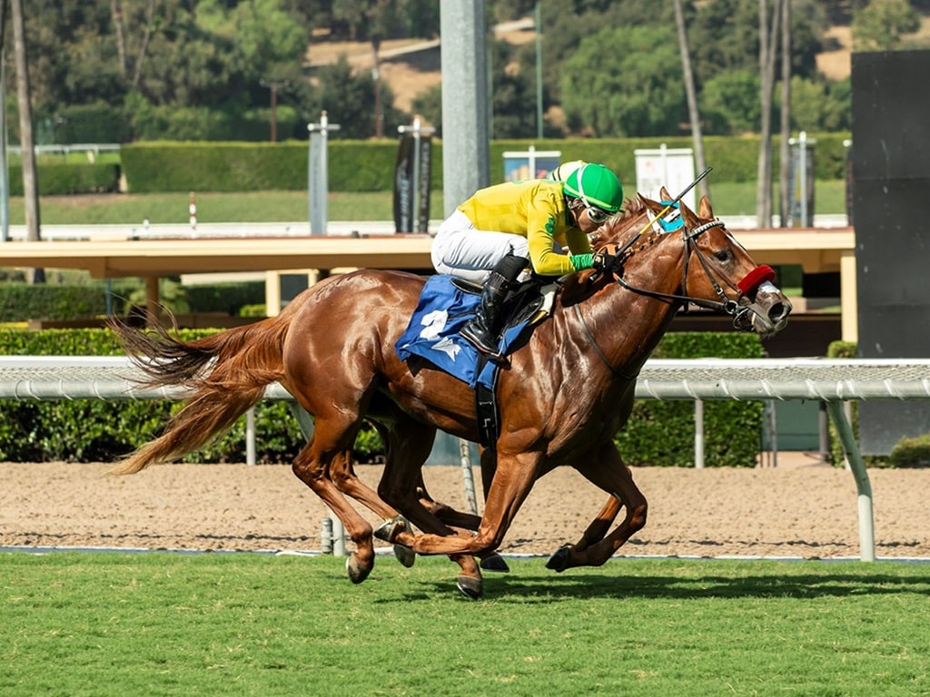 Second-crop 2yo colt Pali Kitten wins the 2024 Speakeasy S. at Santa Anita | Benoit photo