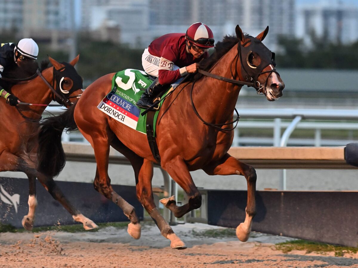 Dornoch wins the 2024 Fountain of Youth-G2 at Gulfstream, stamping himself as a leading classic contender | Coglianese photo