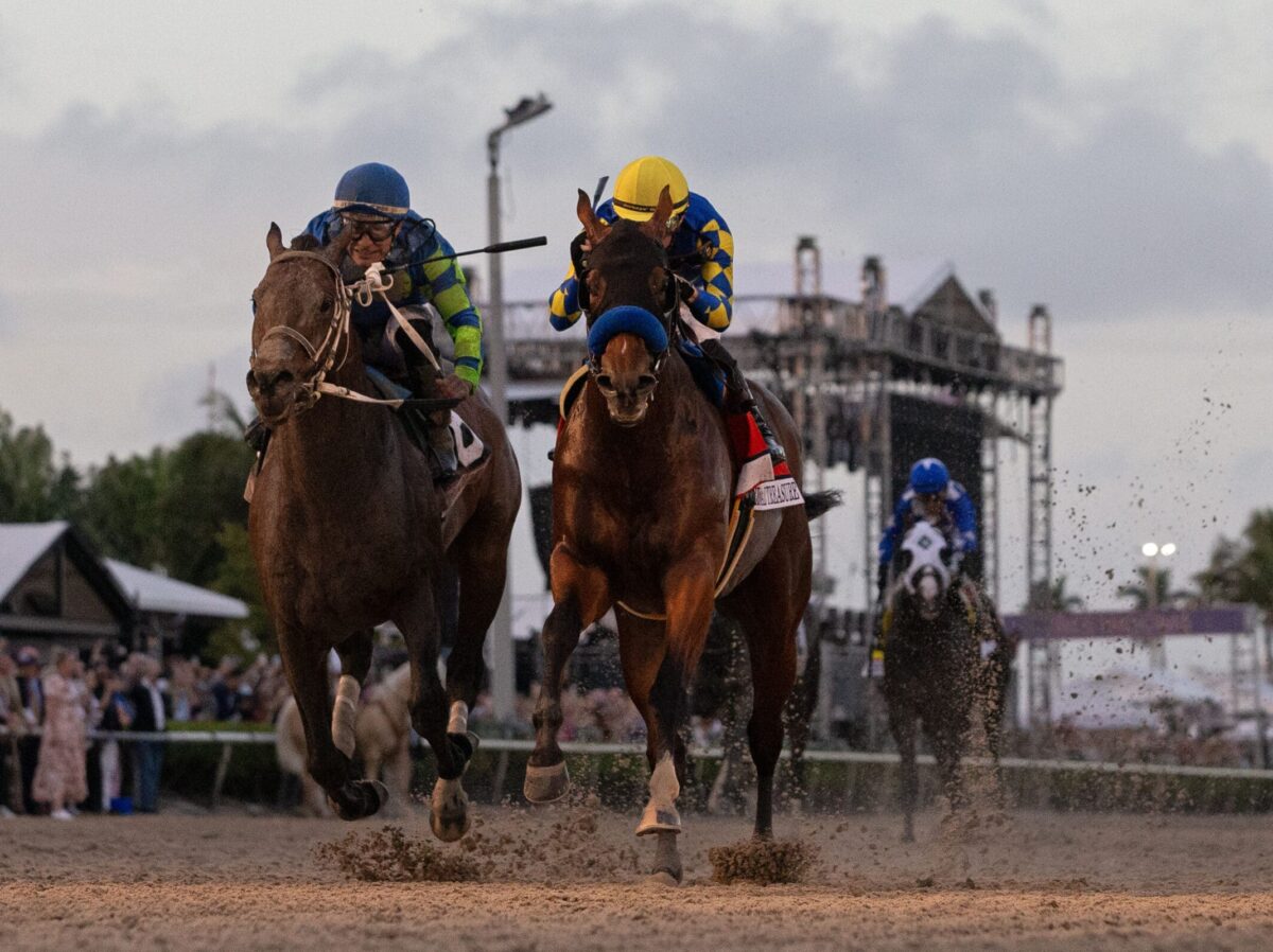 National Treasure wins the 2024 Pegasus World Cup (G1) at Gulfstream Park | Coglianese photo