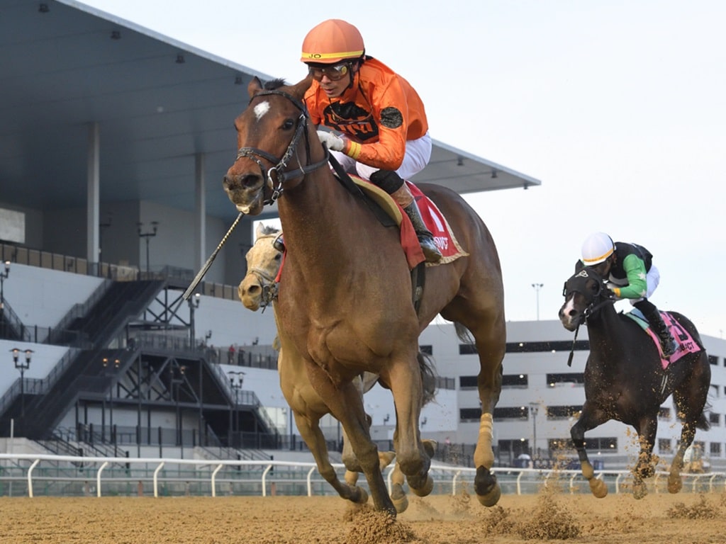 Undefeated With the Angels winning the 2024 Key Cents S. at Aqueduct - NYRA photo