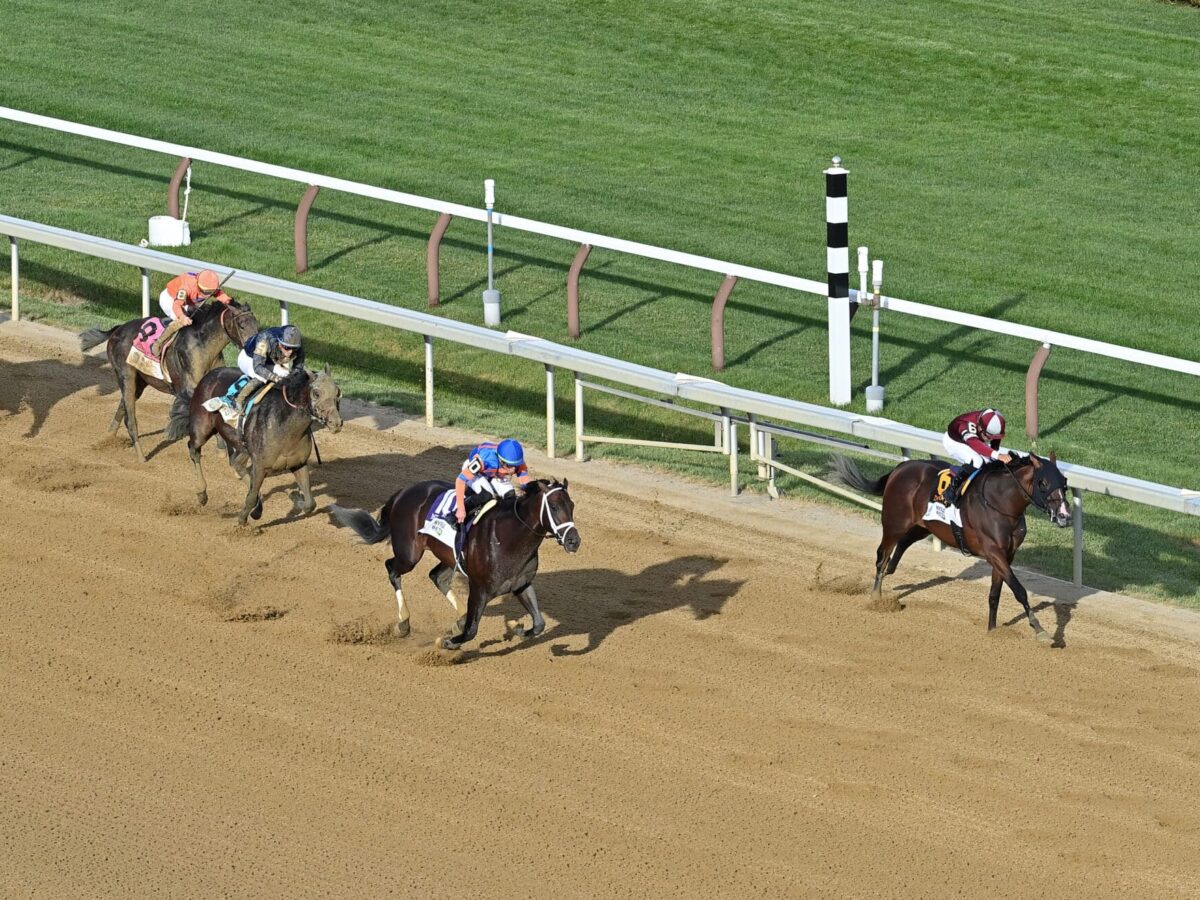 Dornoch becomes a classic winner in the 2024 Belmont Stakes-G1 at 1 1/4 miles at Saratoga | NYRA photo