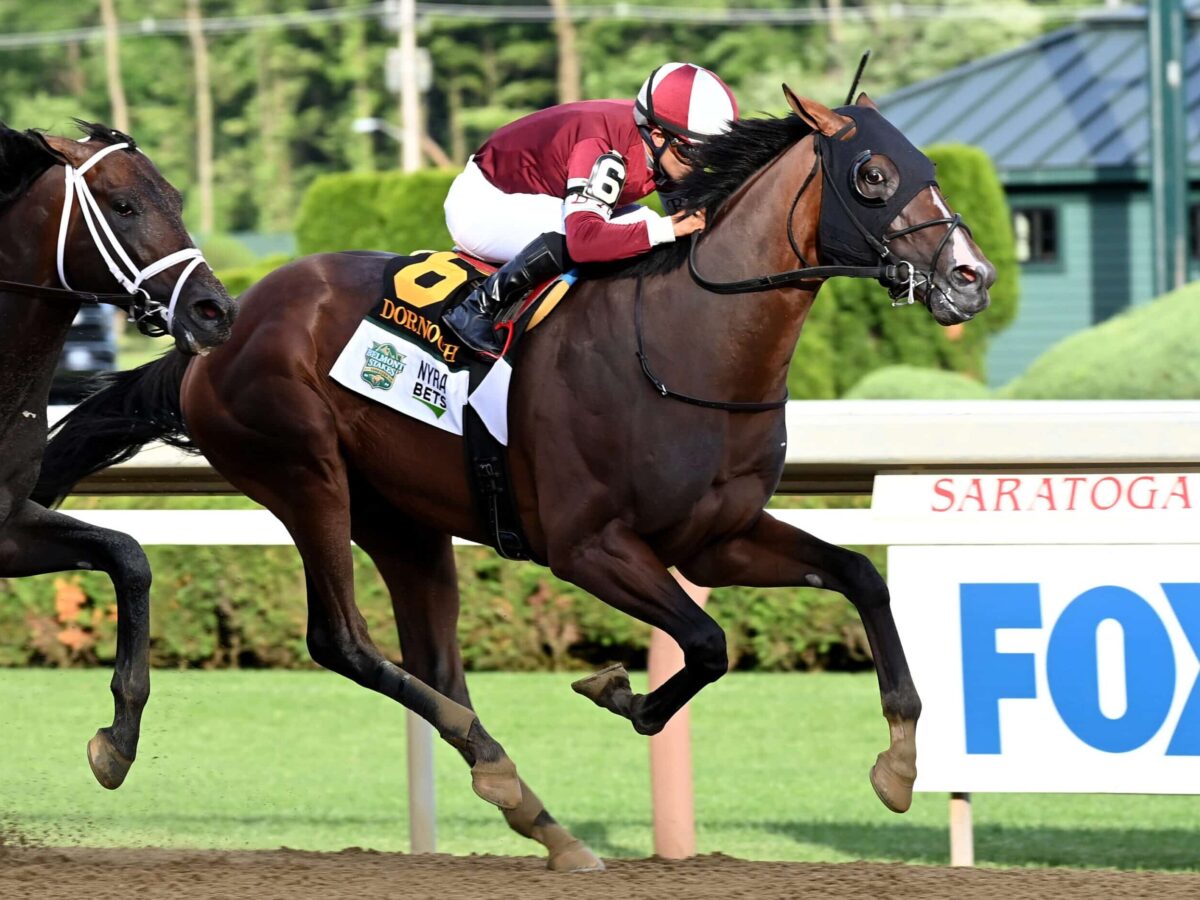 Dornoch becomes a classic winner in the 2024 Belmont Stakes-G1 at 1 1/4 miles at Saratoga | NYRA photo