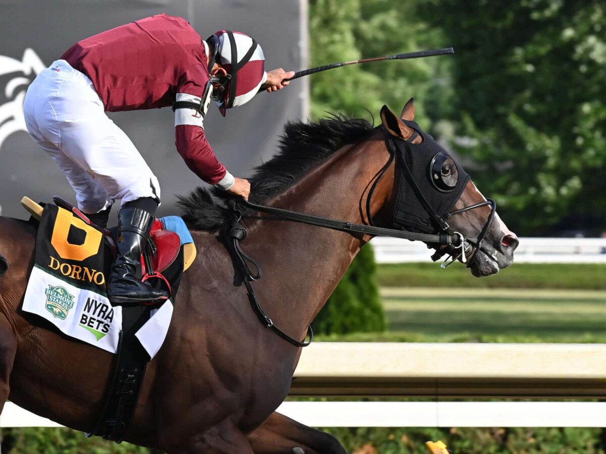 Dornoch becomes a classic winner in the 2024 Belmont Stakes-G1 at 1 1/4 miles at Saratoga | NYRA photo