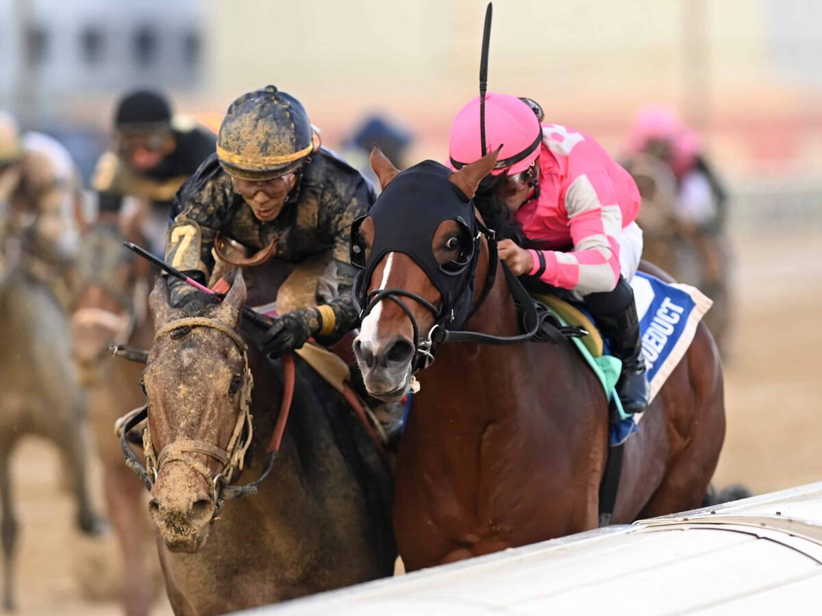 Dornoch outduels Sierra Leone to win the 2023 Remsen-G2 at Aqueduct | NYRA photo