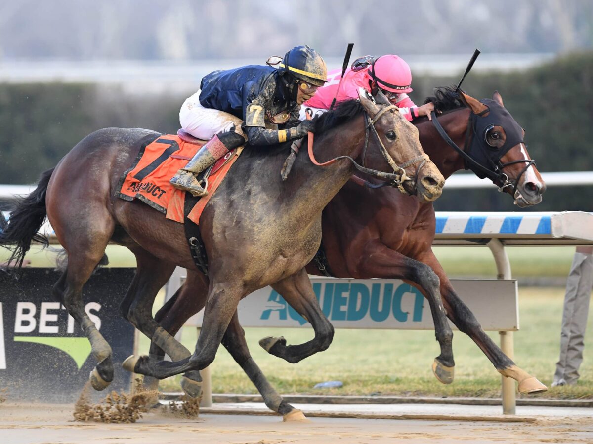 Dornoch becomes one of the top 2-year-olds in North America with a win as the favorite in the 2023 Remsen-G2 at Aqueduct | NYRA photo