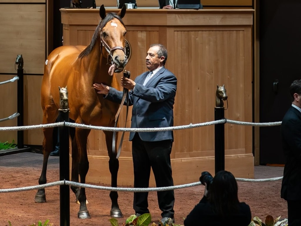 Denim and Pearls sells for $2.8M at the 2024 Fasig-Tipton November sale - Nicole Finch