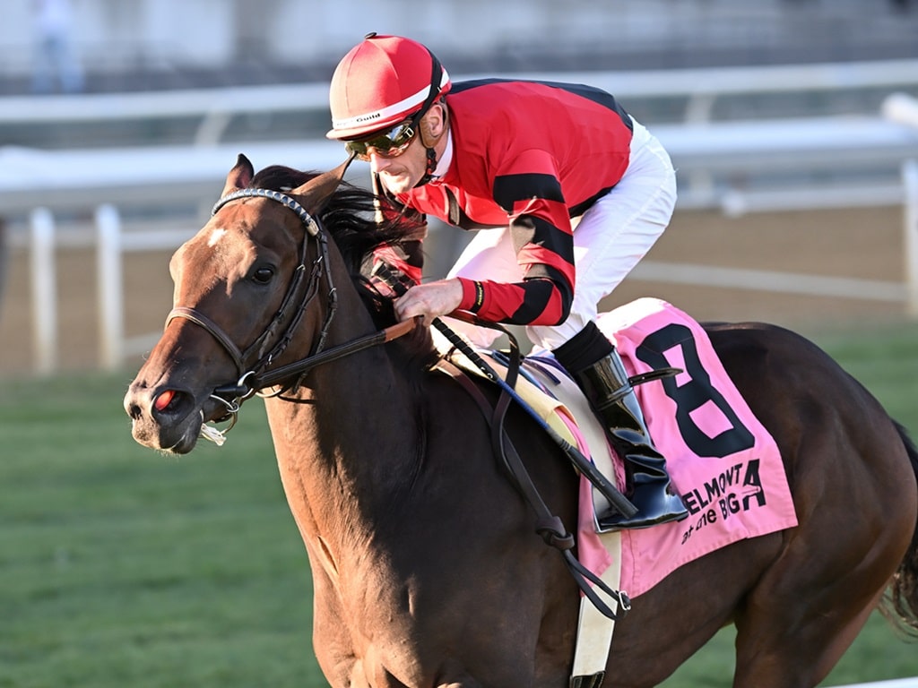 Warheart gets his first stakes win in the 2024 Atlantic Beach S. - Chelsea Durand photo