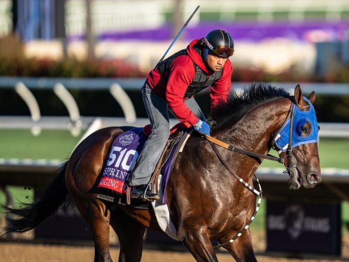 Raging Torrent trains at Del Mar for the Breeders' Cup - Nicole Finch