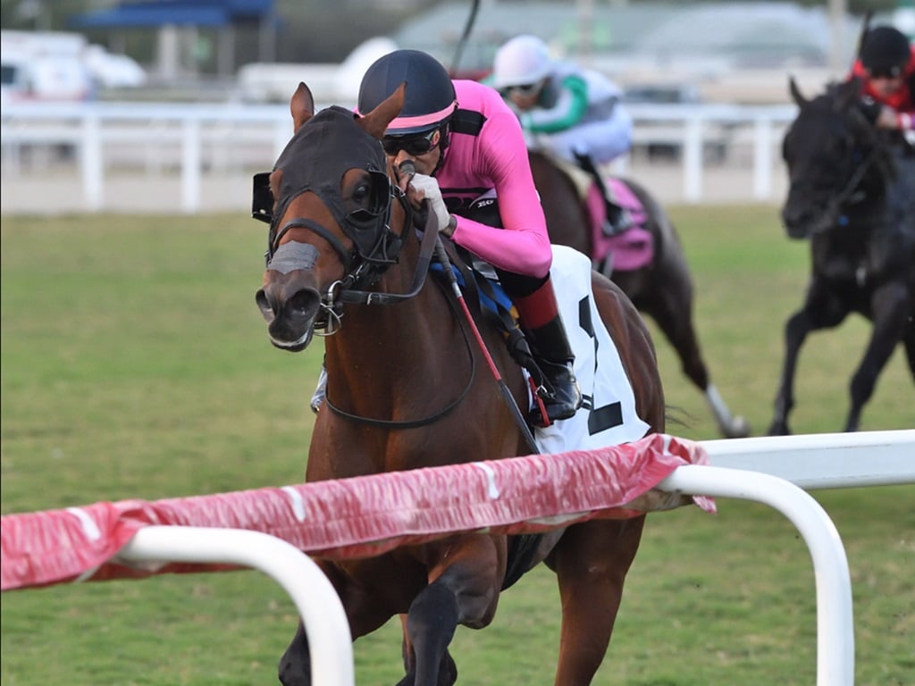 Mi Bago winning the Pulpit S. at Gulfstream Park - Ryan Thompson