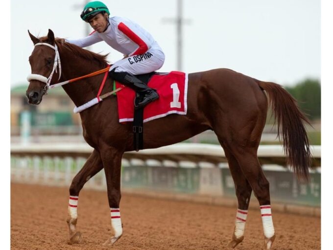 Alwajeeh returning to the winner's circle after his Nov. 29 victory in Riyadh