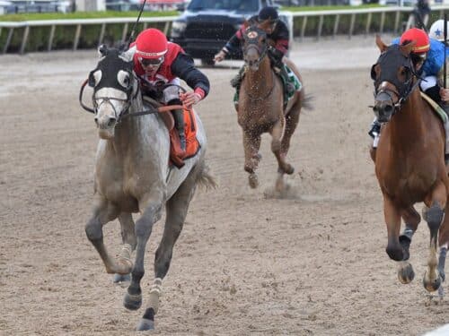 Rocket Can pulls away late to win the 2024 Harlan's Holiday S. (G3) - Ryan Thompson