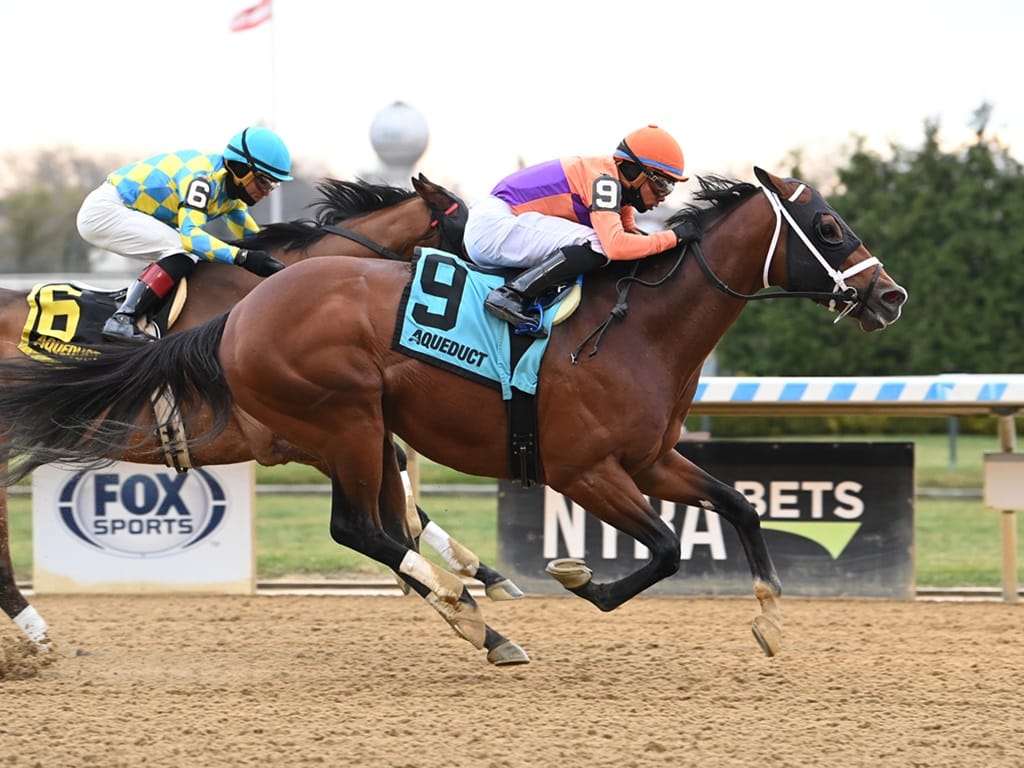 Giant Mischief carries the Spendthrift silks to victory in the 2024 Fall Highweight S. - Susie Rasher/NYRA