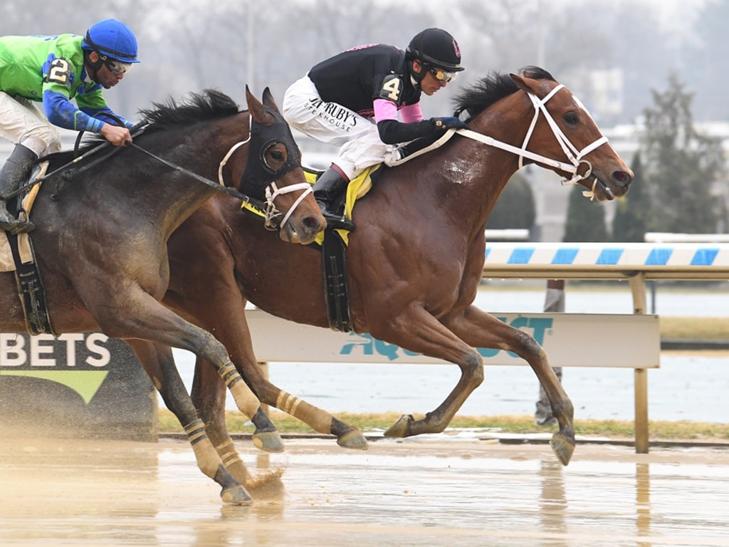 Maximus Meridius splashes to victory in the 2024 Gravesend S. - NYRA photo