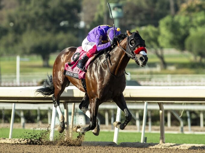 Raging Torrent wins the $300,000 Malibu S. (G1) on December 26, 2024 at Santa Anita Park, Arcadia, CA. Benoit Photo