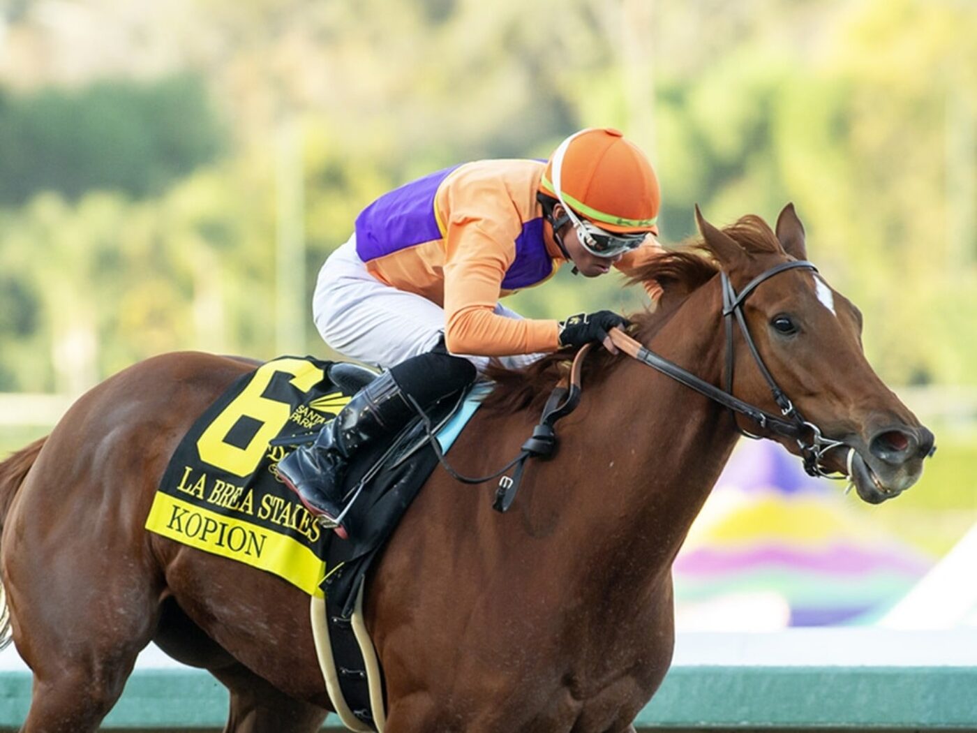 Kopion wins the Grade I La Brea S. on December 26, 2024 at Santa Anita Park, Arcadia, CA. Benoit Photo