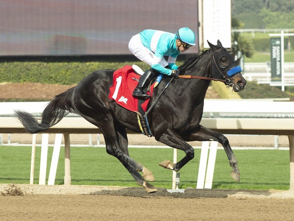 3yo colt Rodriguez becomes a TDN Rising Star at Santa Anita, earning a crop-high 101 Beyer Speed Figure | Benoit photo