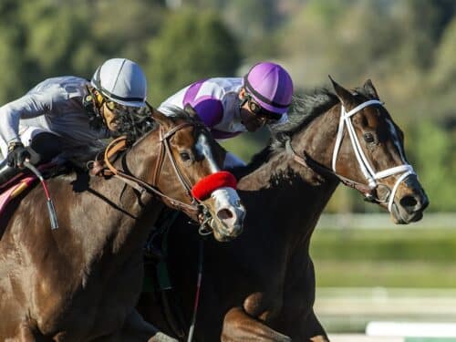 Look Forward, right, scores a head victory over Artisma in the Santa Ynez S. - Benoit Photo