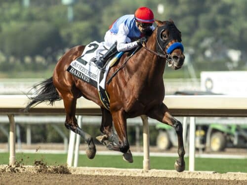 Zedan Racings Barnes and jockey Juan Hernandez win the Grade II $200,000 San Vicente Stakes Saturday January 4, 2025 at Santa Anita Park, Arcadia, CA. The 3-year-old son of Into Mischief is named after trainer Bob Baffert’s assistant trainer Jimmy Barnes. Benoit Photo