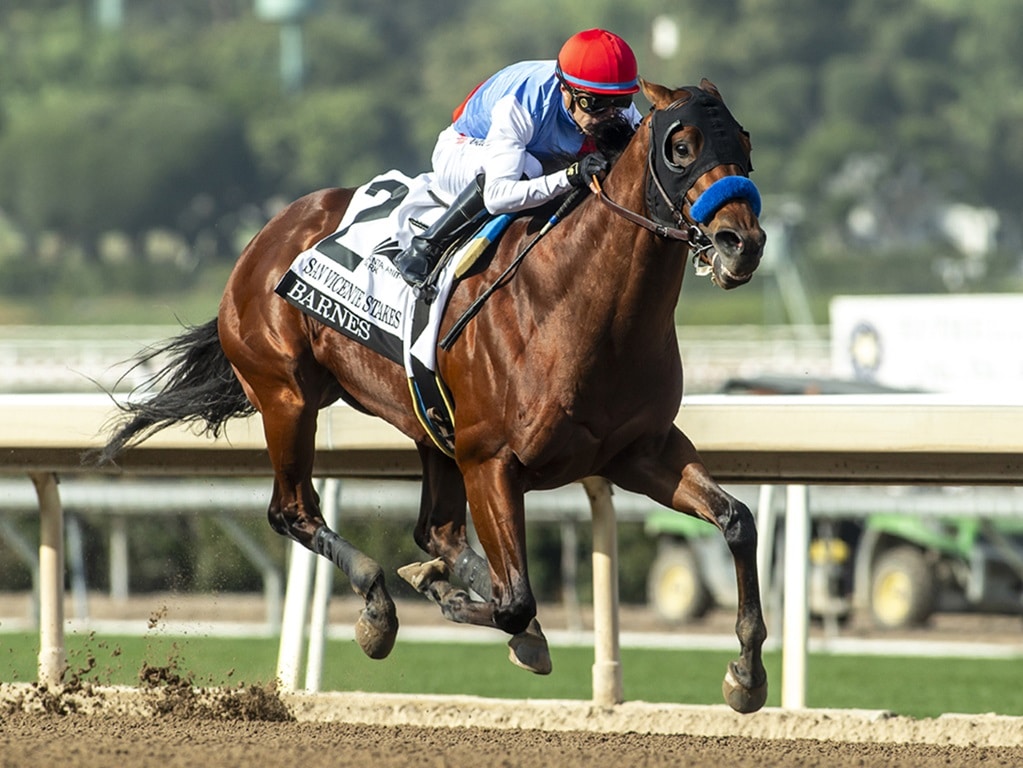 Zedan Racings Barnes and jockey Juan Hernandez win the Grade II $200,000 San Vicente Stakes Saturday January 4, 2025 at Santa Anita Park, Arcadia, CA. The 3-year-old son of Into Mischief is named after trainer Bob Baffert's assistant trainer Jimmy Barnes. Benoit Photo