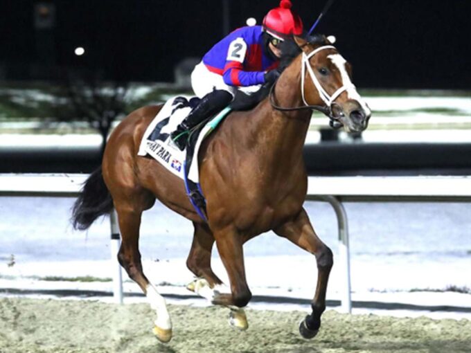 Baby Max wins the Leonatus S. Jan. 18, 2025 at Turfway Park - Coady Media