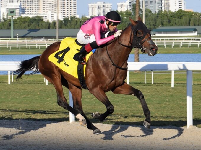 Mi Bago winning the Dania Beach S. on Jan. 1 at Gulfstream Park - Lauren King