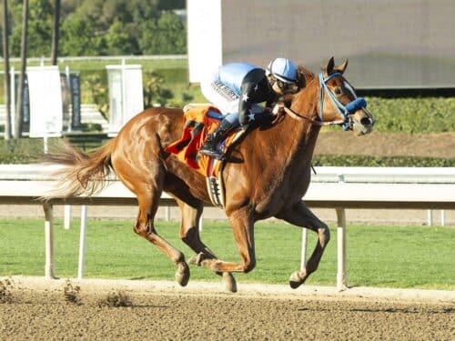 Formula Rossa, Vekoma's latest 'Rising Star', wins her Feb. 21 debut at Santa Anita Park - Benoit photo