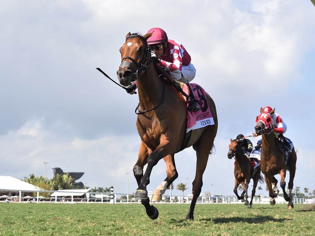 Vixen dominates the 2025 Sweetest Chant S. at Gulfstream Park - Ryan Thompson