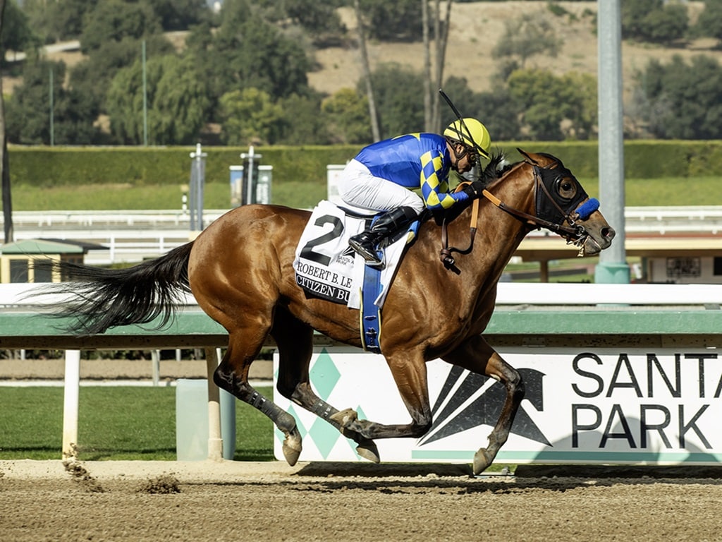 Citizen Bull wins Robert B. Lewis S, (G3) at Santa Anita Park - BENOIT PHOTO