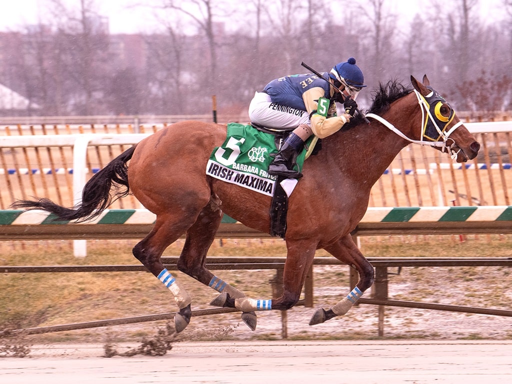 Irish Maxima winning her 2025 debut in the Barbara Fritchie S. at Laurel Park - Jim McCue