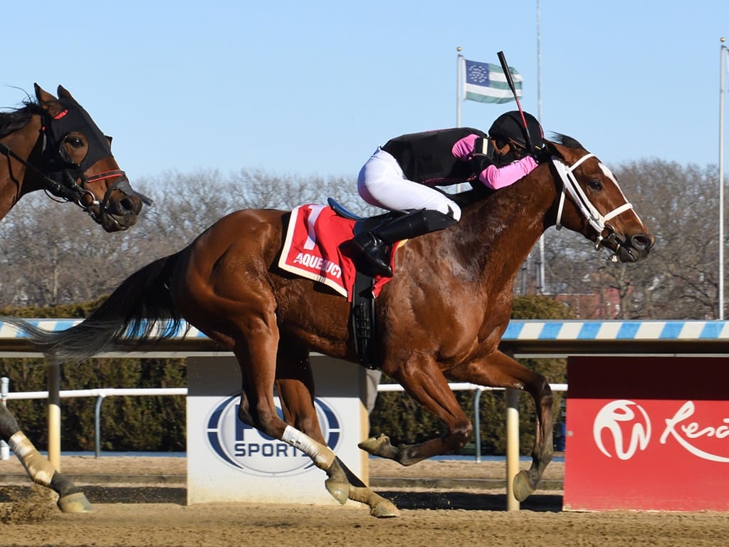 Maximus Meridius holds off Runninsonofagun in the 2025 Toboggan S. - Chelsea Durand