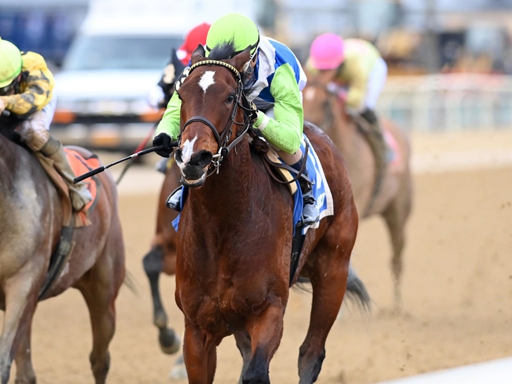 Landed wins the $125,000 Broadway S. at Aqueduct - Chelsea Durand