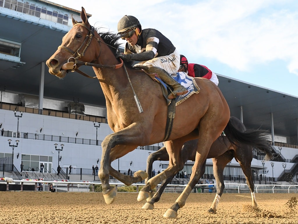 Drexel Hill puts away Amarth to win the $200,000 Busher S. at Aqueduct - Chelsea Durand