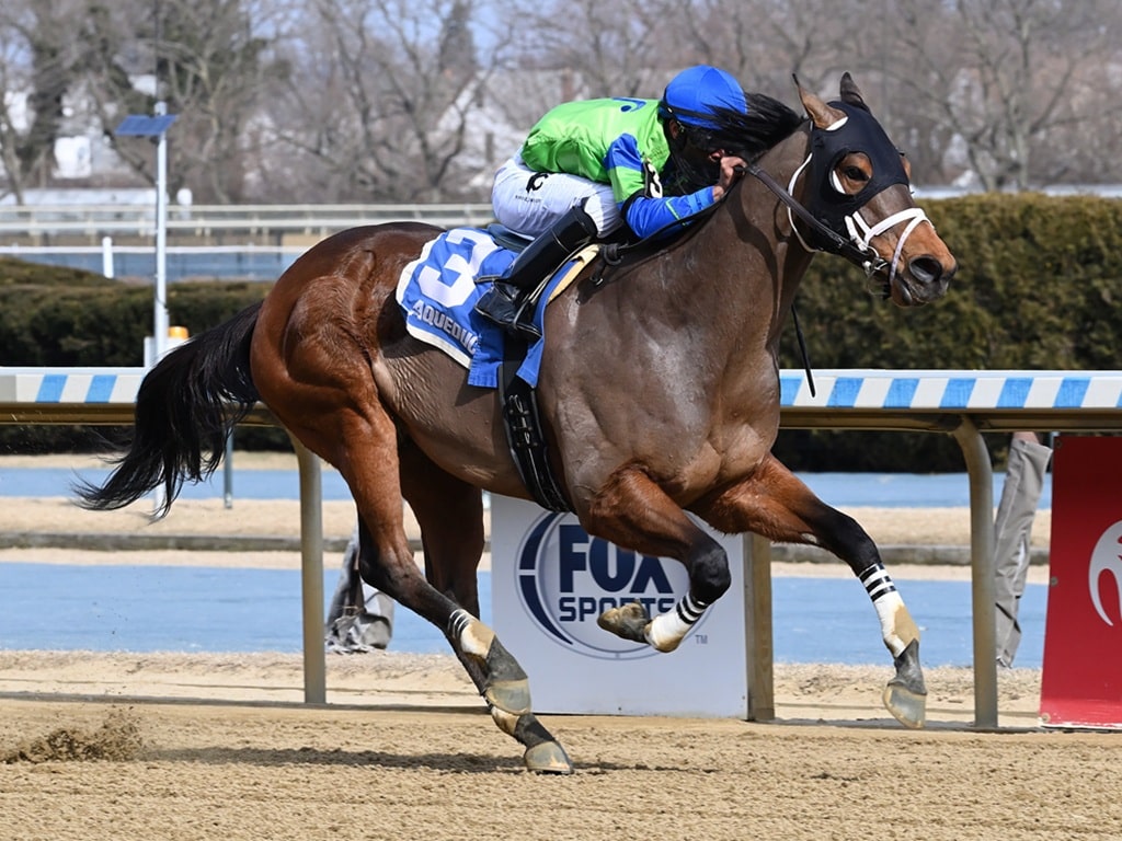 Full Moon Madness earns his first stakes win in the Tom Fool S. (G3) March 1, 2025 at Aqueduct - Chelsea Durand