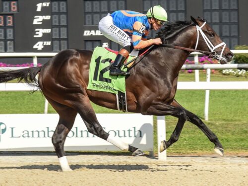 Accelerize cruises to victory in his March 8 debut at Tampa Bay Downs - SV Photography