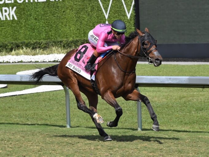 Mi Bago is all alone at the finish of the 2025 Colonel Liam S. at Gulfstream Park - Lauren King