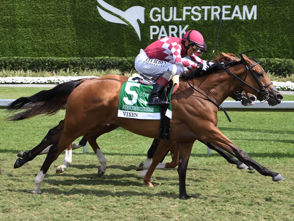 Vixen bests three obscured foes in the 2025 Herecomesthebride S. (G3) - Adam Coglianese